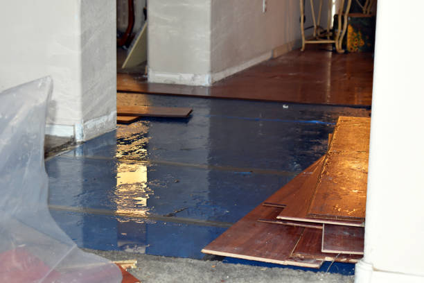 Professional Basement Water Removal technician working in Kansasville, WI